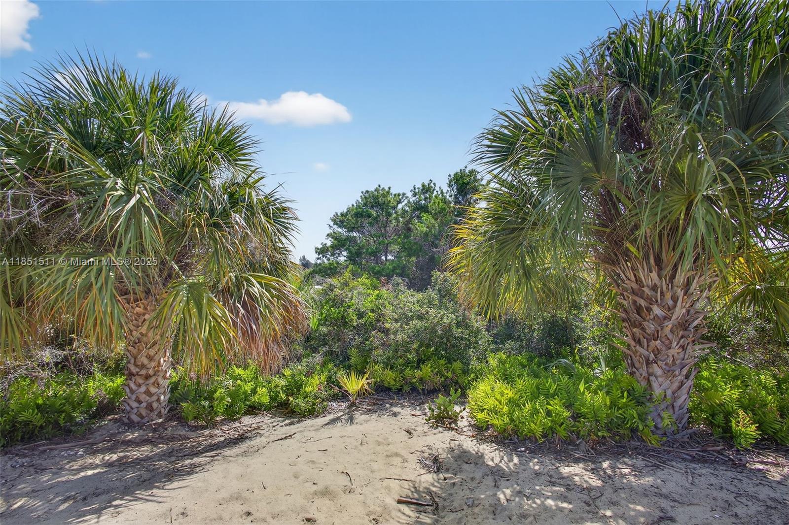 RIDGE AT THE BLUFFS - Residential