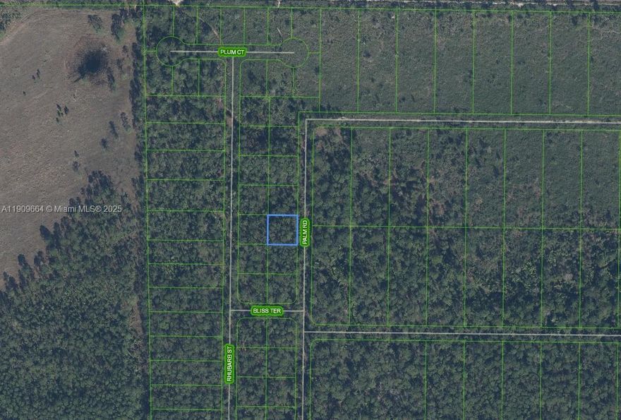 Located in the Orange Blossom Estates on a quarter-acre lot with no current access. The surrounding area is already developed with homes, and this lot sits in a section not yet developed. Ideal for future development.
