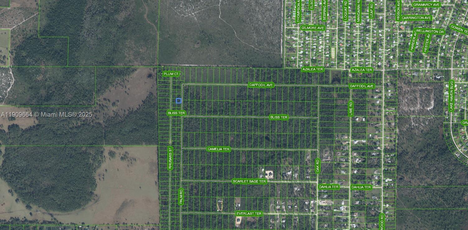 ORANGE BLOSSOM UNITS 10 - Land
