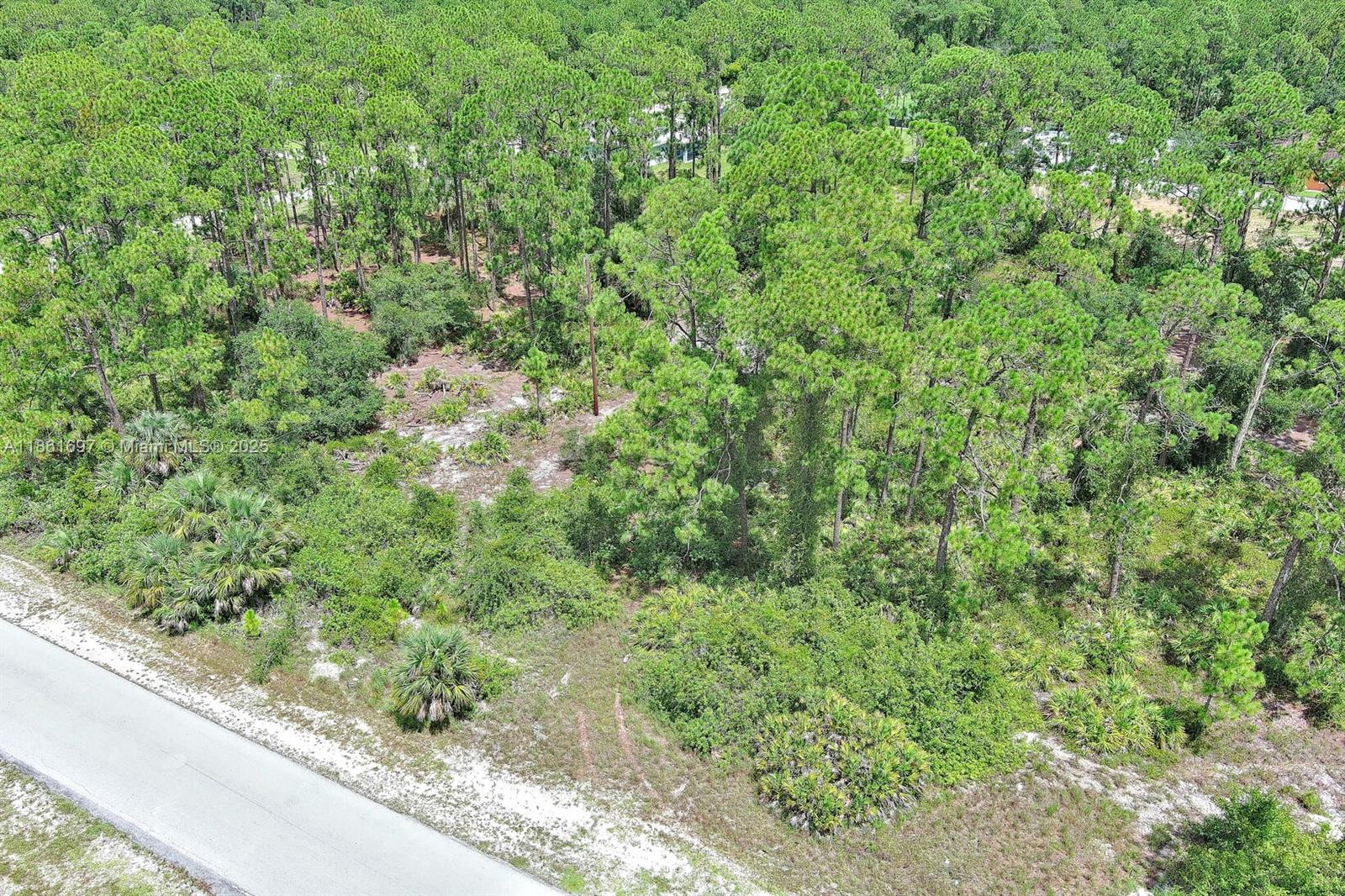 LEHIGH ACRES - Land