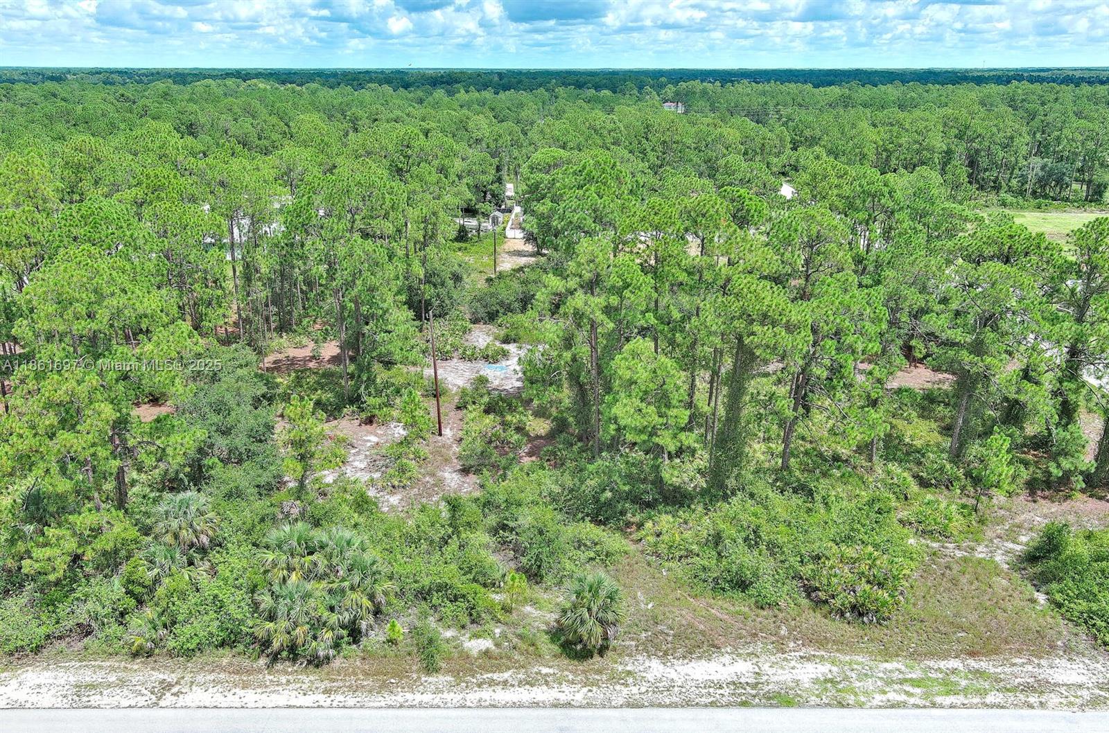 LEHIGH ACRES - Land