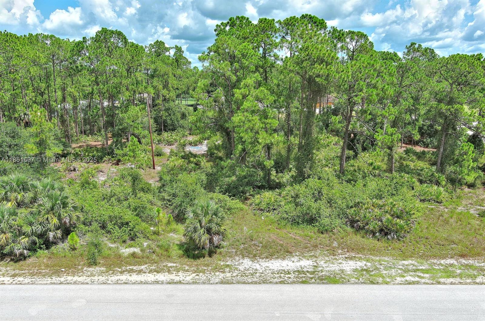 Exclusively presented by Sunland Real Estate: Build your dream home on this beautiful, oversized lot located in a quiet and growing area of Lehigh Acres! This vacant parcel offers peace and privacy, with ample space for a custom home, pool, and more. Enjoy the serenity of a low-traffic neighborhood while still being just a short drive to shopping, schools, restaurants, and all that Southwest Florida has to offer. Take advantage of the rising property values in this rapidly developing area—your slice of Florida paradise awaits!
