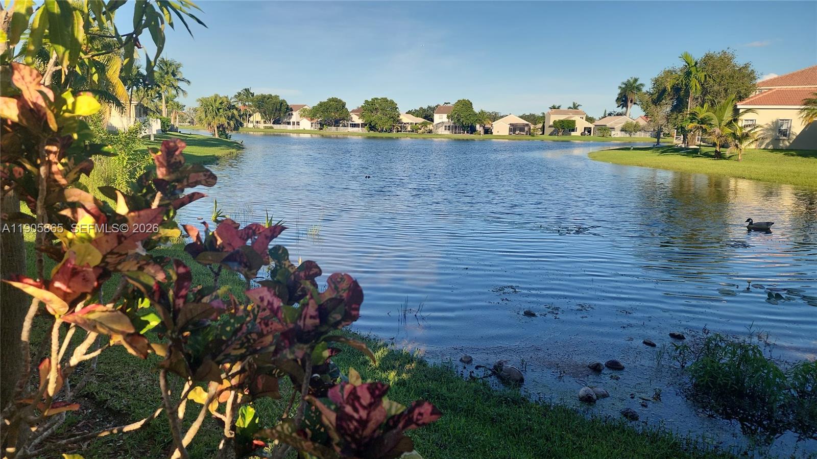 The Meadows - Residential