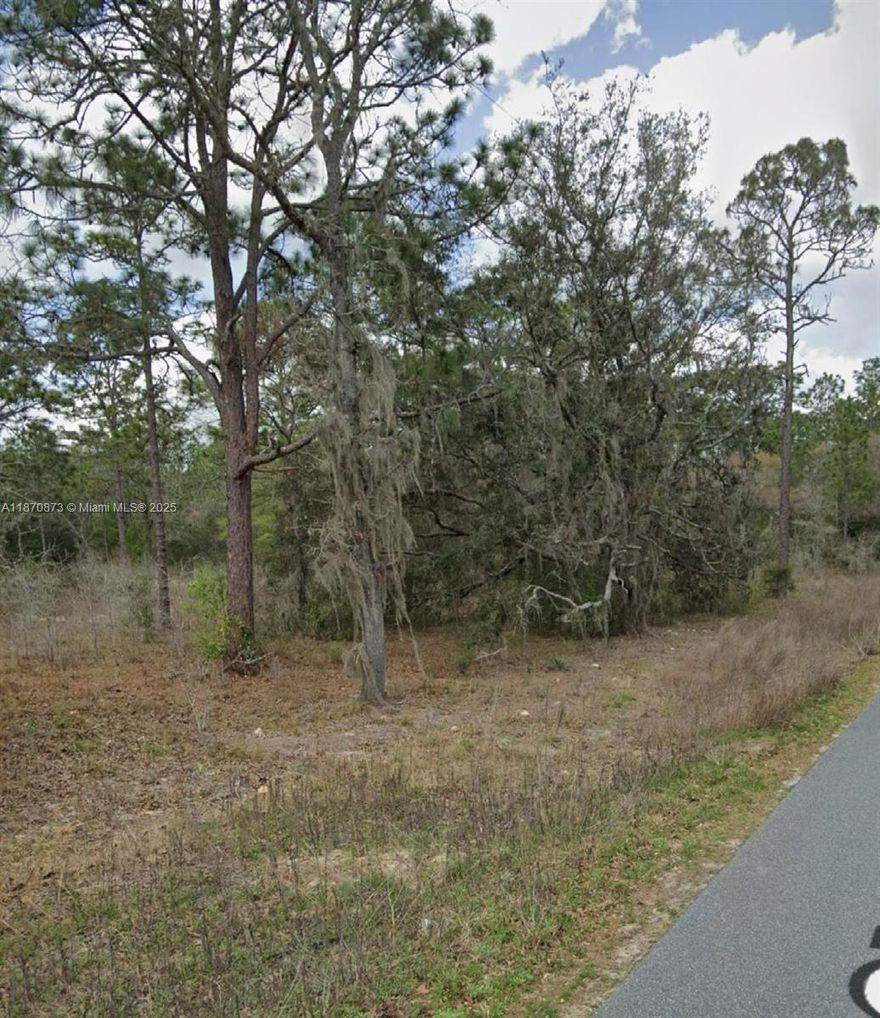 Rectangular-shaped wooded lot, R1 zoning, No HOA. Rare 4.83 acre piece of land at beautiful Rolling Hills area of Dunnellon in Marion County. High and dry. Only 9 miles from Dunnellon and 12 miles from Ocala. 17 minutes from World Equestrian Center. Only 1/3 mile from SW 140th Ave. Build your dream home. Convenient access to electricity service. Lot could be purchased with adjoining family property available for sale to create a nice farm.
A11870862