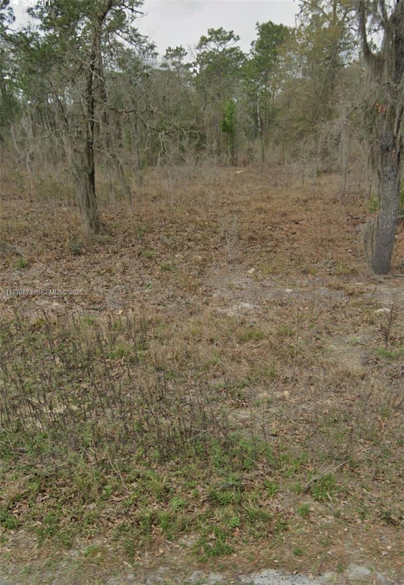 Rolling Hills - Land