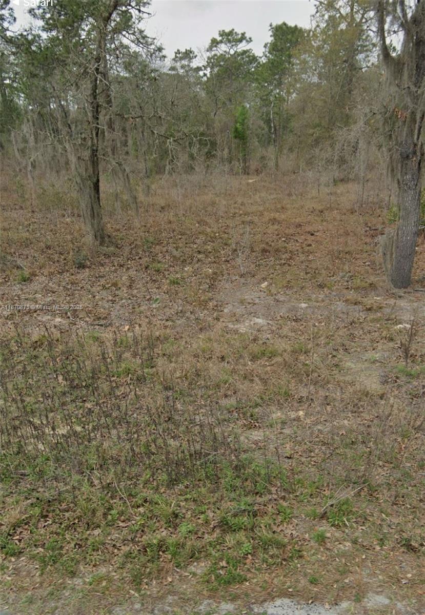 Rolling Hills - Land