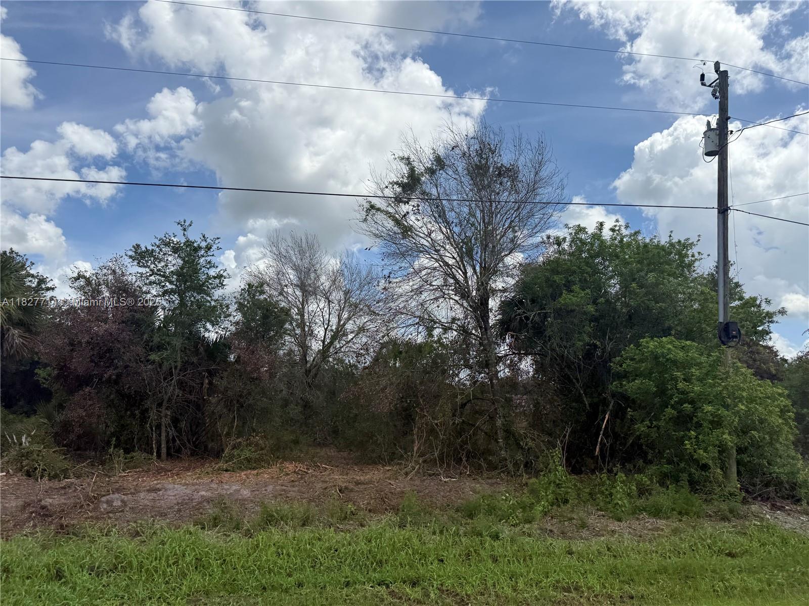 1.25 ACRES OR 2.50 ACRES AS WE HAVE THE LOT NEXT OF IT FOR SALE AS WELL!! MAIN PAVED ROAD, LOCATED ON BALD CYPRESS AVE ( THE MOST DESIRABLE AVENUE IN MONTURA RANCH ESTATES) PARTIALLY CLEARED SO YOU CAN DECIDE THE TREES YOU WANT IT!!! PRICE TO SELL FAST!! BEST OPTION IN THE MARKET! NO WETLAND! GREAT INVESTMENT OPPORTUNITY! YOU CAN BUILD YOUR DREAM HOUSE OR INSTALL YOUR MOBILE HOME ENDLESS POSSIBILITIES!!! YOU CAN HAVE YOUR WEEKEND GETAWAY FROM THE CITY, JUST 65 MILES FROM WESTON, 90 MILES FROM MIAMI, YOU CAN HAVE YOUR FARM ANIMALS AND ENJOY THE CAMP STYLE OF MONTURA RANCH ESTATE YOU CAN GO DIRECTLY TO THE PROPERTY AND CALL ME OR TEXT ME IF YOU NEED ANY EXTRA INFORMATION