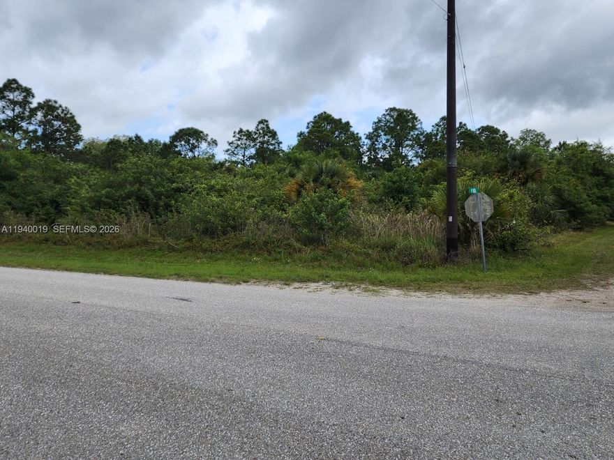 Discover a stunning 1.25-acre corner lot, perfectly situated at the vibrant intersection of Avenida del Sur and North Datil Street. This prime piece of land offers endless possibilities for your dream project!