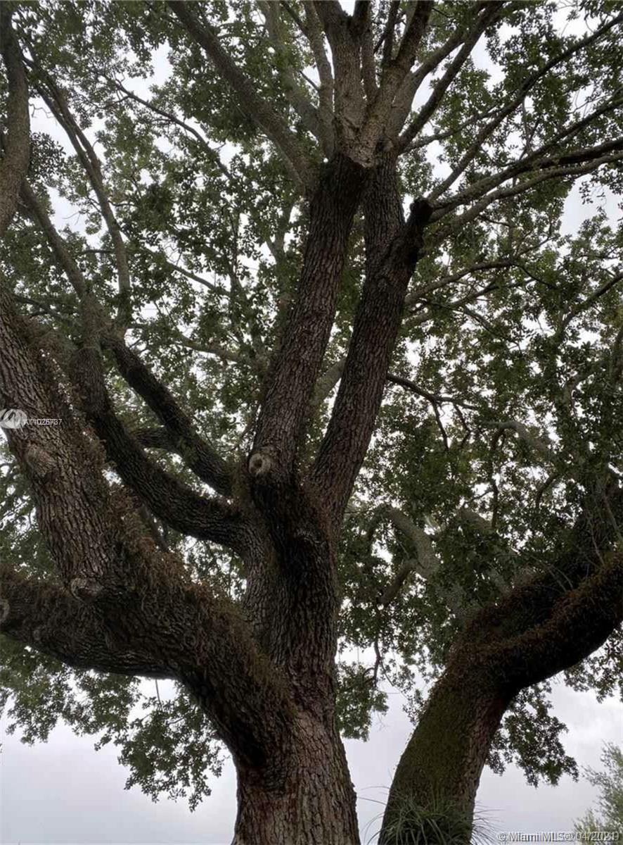 COCHRANE MANOR - Residential Lease