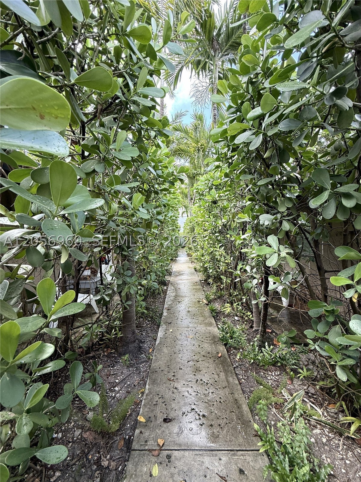 118 NW 24th St