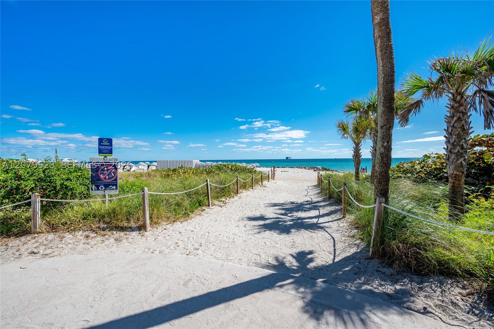 2899 Collins Ave 1505