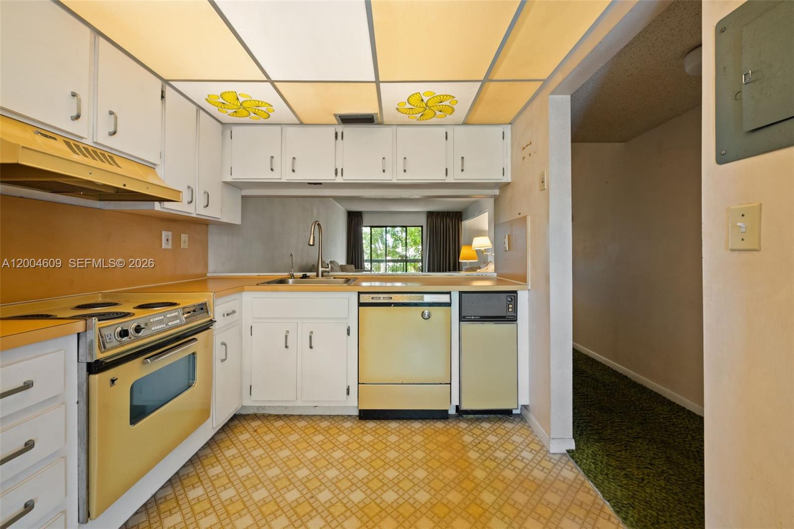 709 Curtiss Parkway Condo - Residential