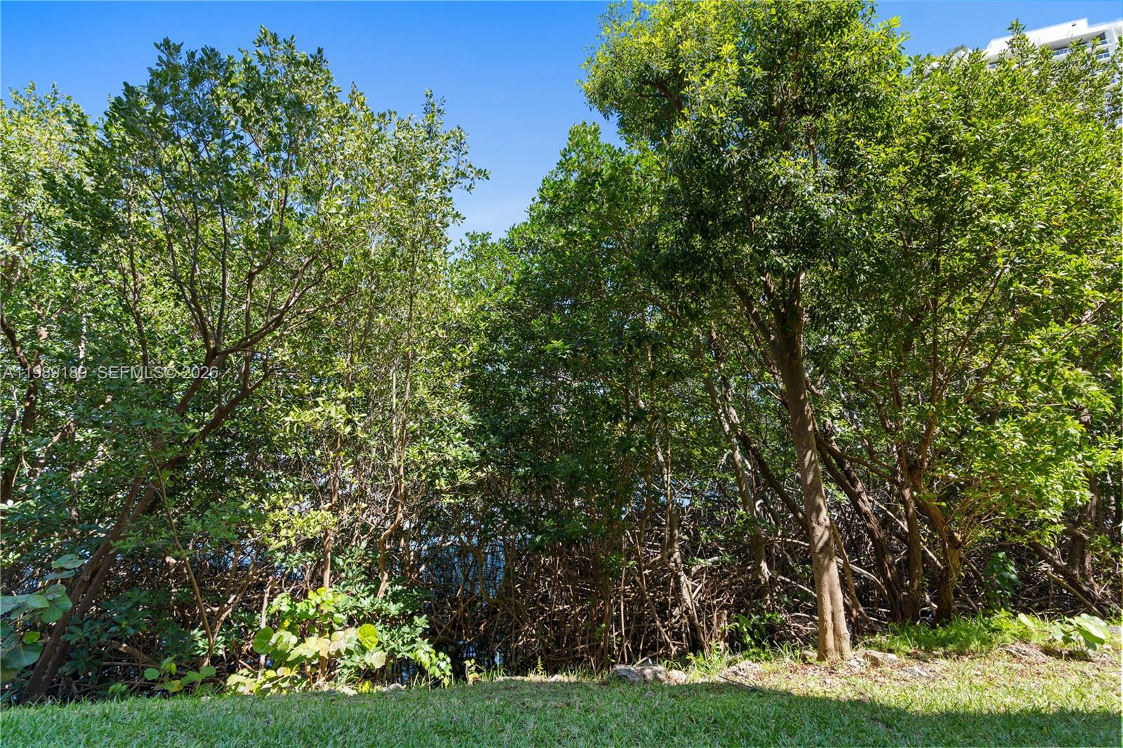 THE YACHT CLUB AT AVENTUR - Residential