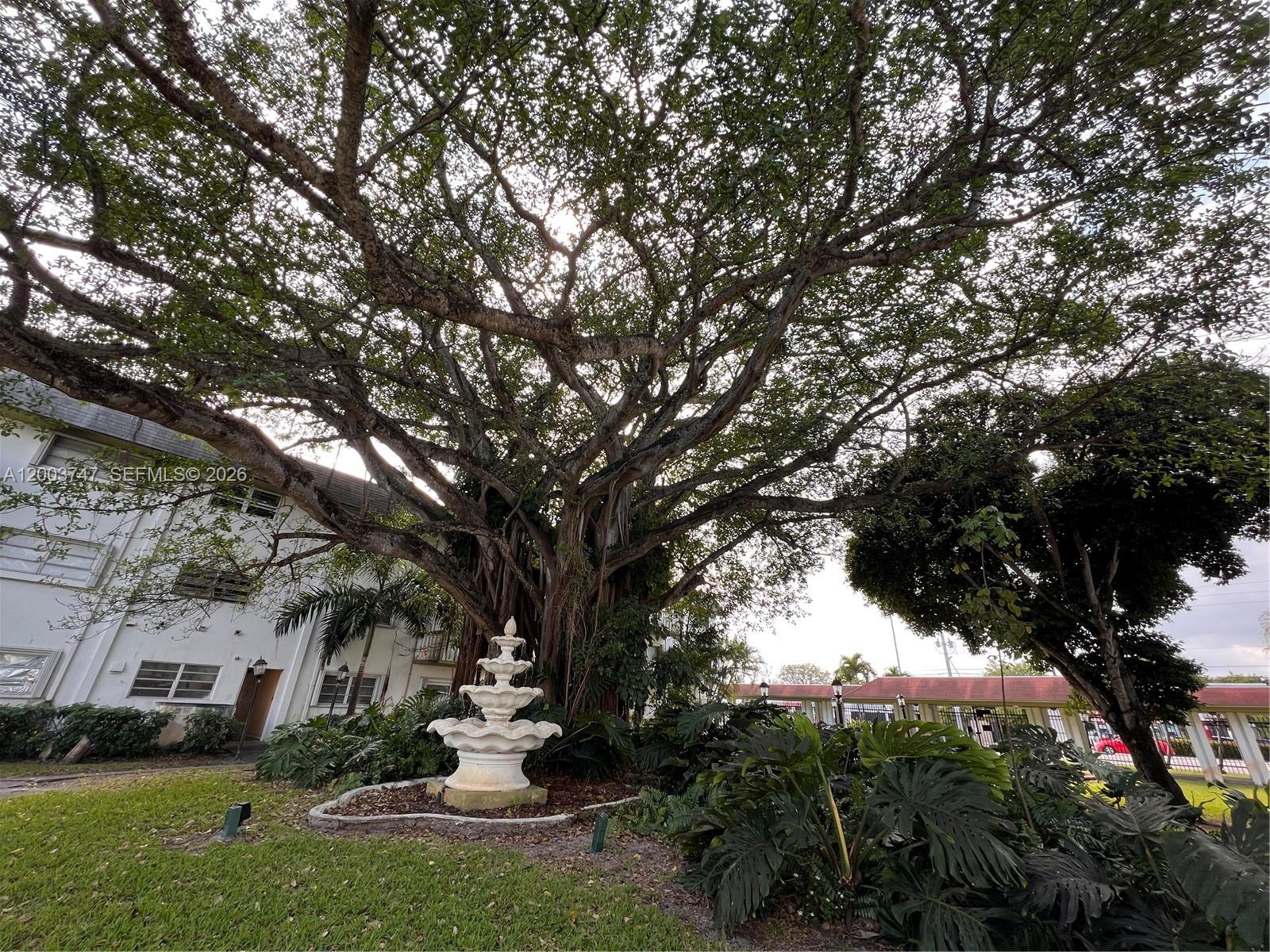 OLA CONDO - Residential Lease