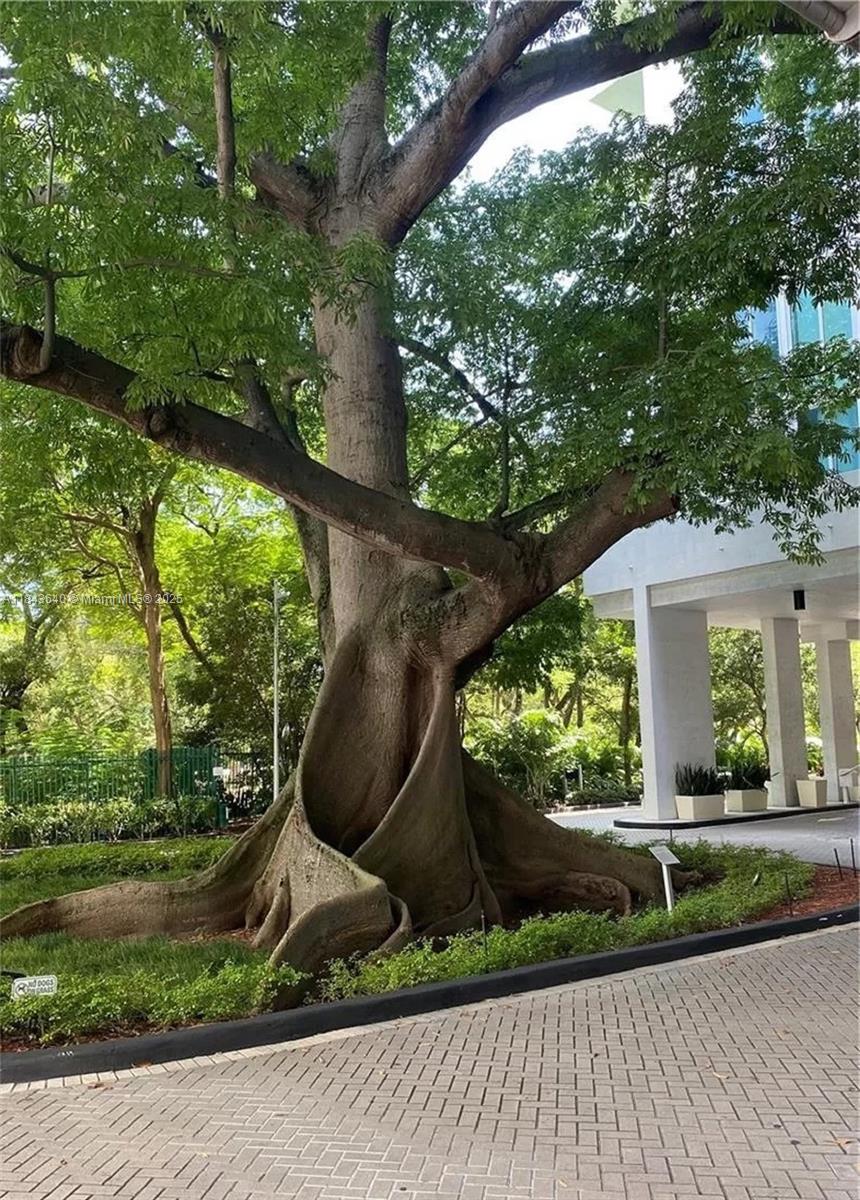 TERRAZAS RIVERPARK VILLAG - Residential Lease