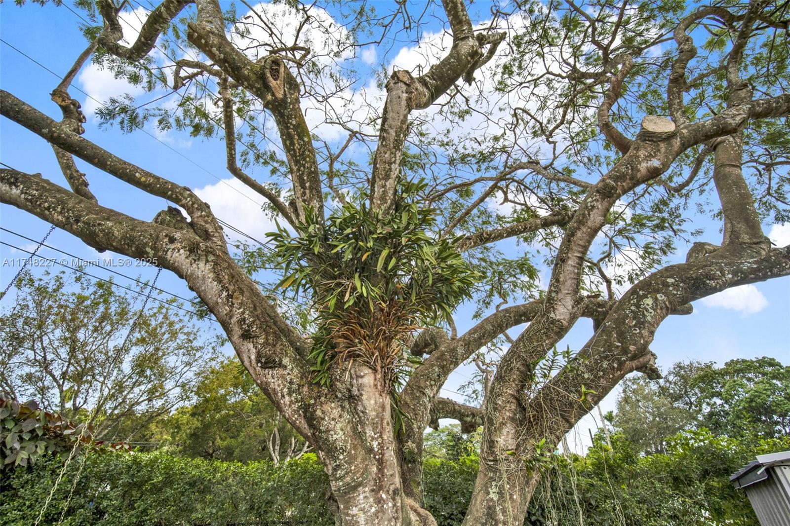 BILTMORE HEIGHTS RED RD A - Residential