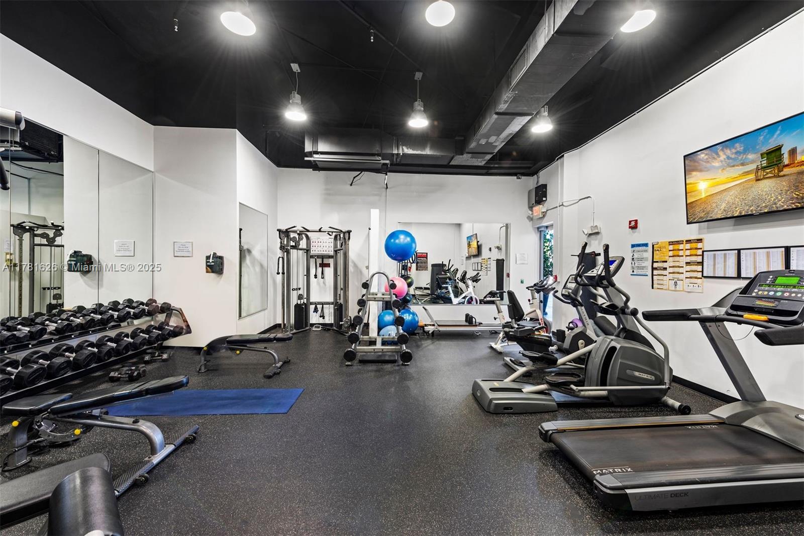 THE MERIDIAN CONDO - Residential