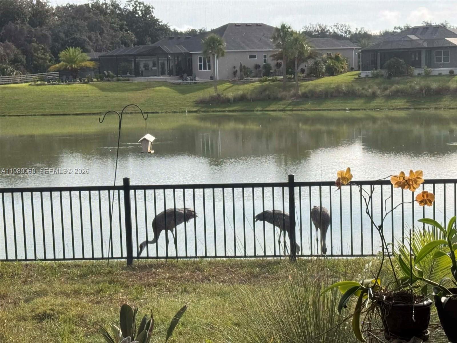 Lake Denham - Residential