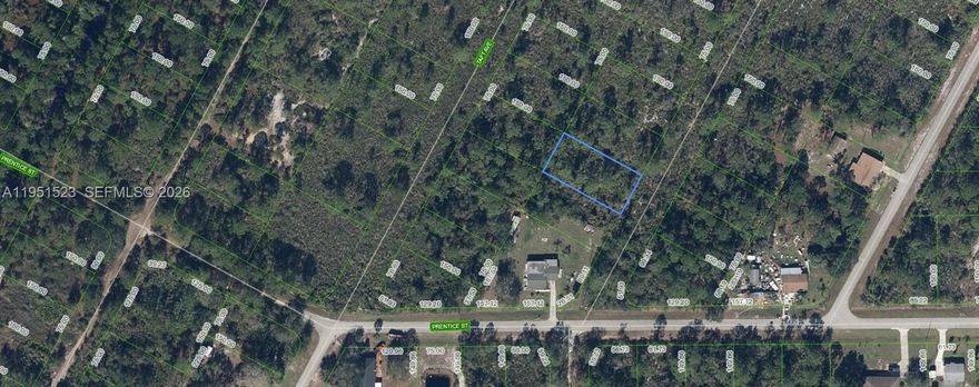 OWNER WILL FINANCE!!! 1K DOWN 274.81 A MONTH FOR 36 MONTHS AT 7% INTREST. ADJACENT LOT AVAIBLE!!! Lake Placid Florida, 75 Wide and 150 feet Deep = .26 of an Acre, In Highlands Park Estates. Walking distance to Lake Istokpoga, where the Big Bass Bite! Highlands County has 100 Lakes and Affordable Golf, Highlands Hammock State Park, Many Bird Watching Parks where you will see the Scrub Jays! Nature Abounds all around, Kayaking, Bike Trails, Fishing! Get back to the Real Life in Lake Placid Florida!