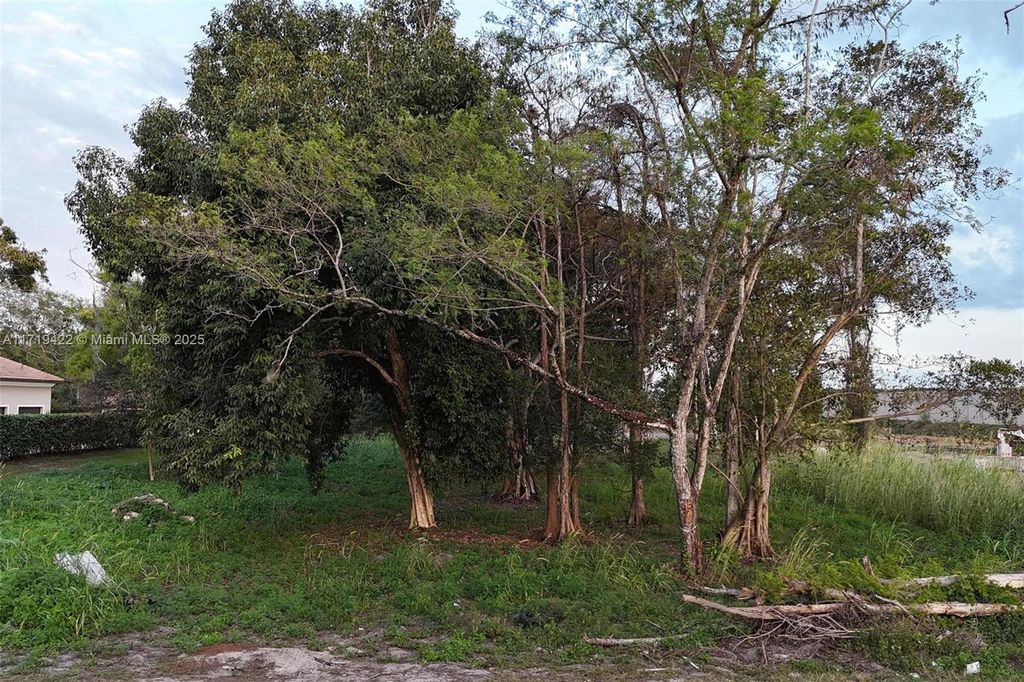 Photo of 5756 NW 63rd Way, Parkland, FL 33067 (MLS # A11719422)