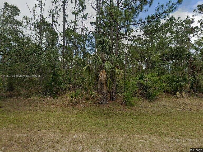 Vacant residential lot located at 4202 Collingswood Blvd, Port Charlotte. Great location to build your dream home or hold as an investment in this fast-growing area. Close to shopping, schools, restaurants, golf, and the beautiful Gulf beaches. Easy access to US-41 and I-75. No HOA, no deed restrictions. Buyer to verify all information with county.
