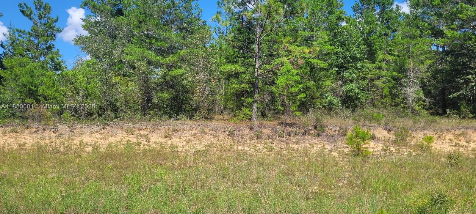 SUNNY HILLS UN 02 - Land