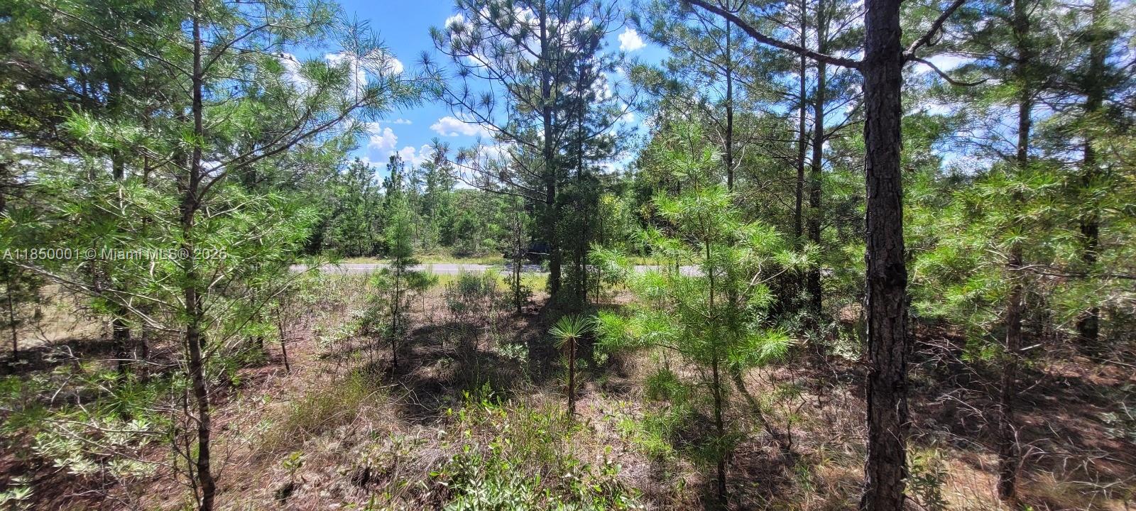 SUNNY HILLS UN 02 - Land