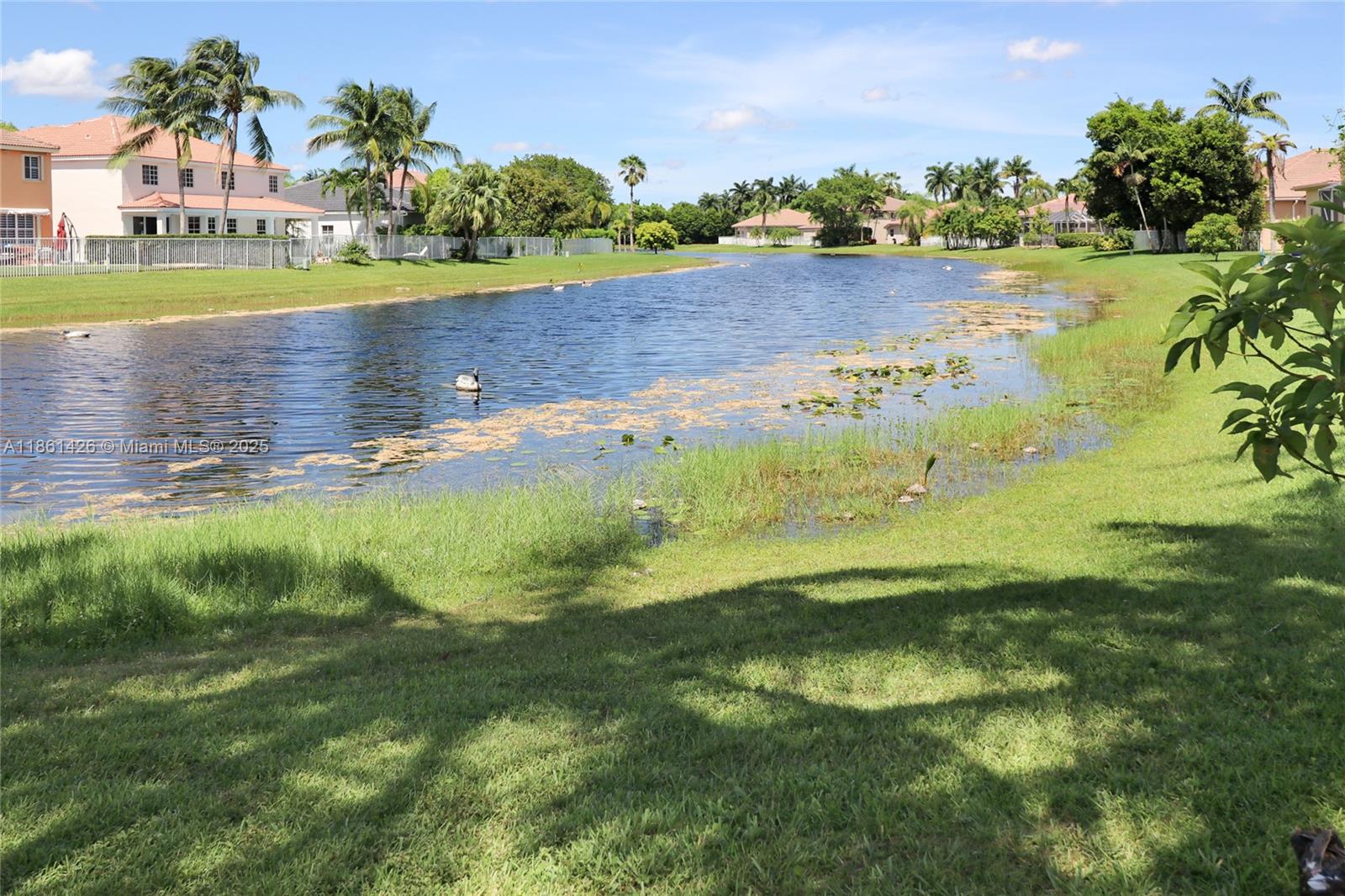 SAVANNA-WESTON - Residential