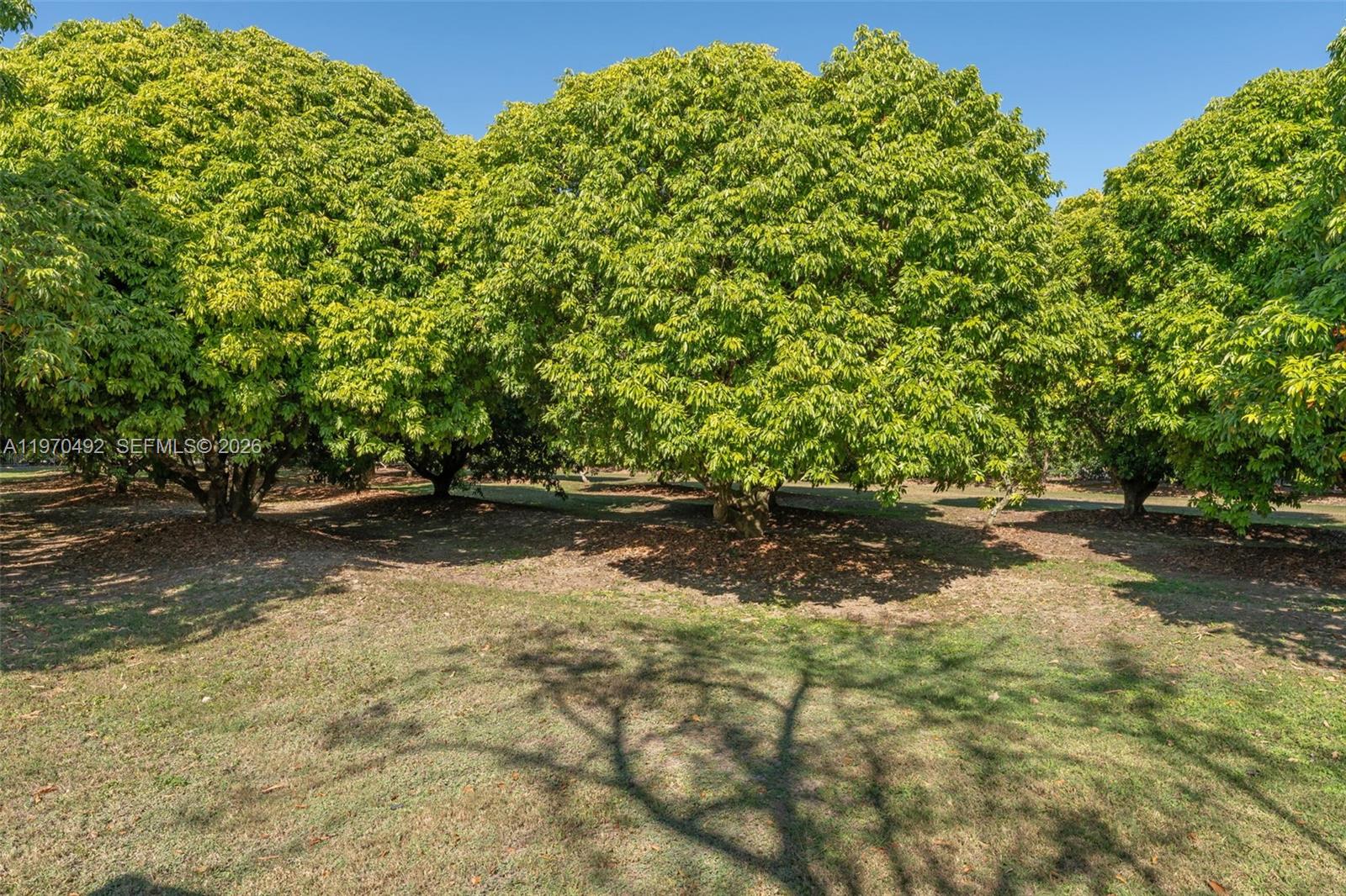 REDLAND 2.5 AC FARMHOUSE - Residential