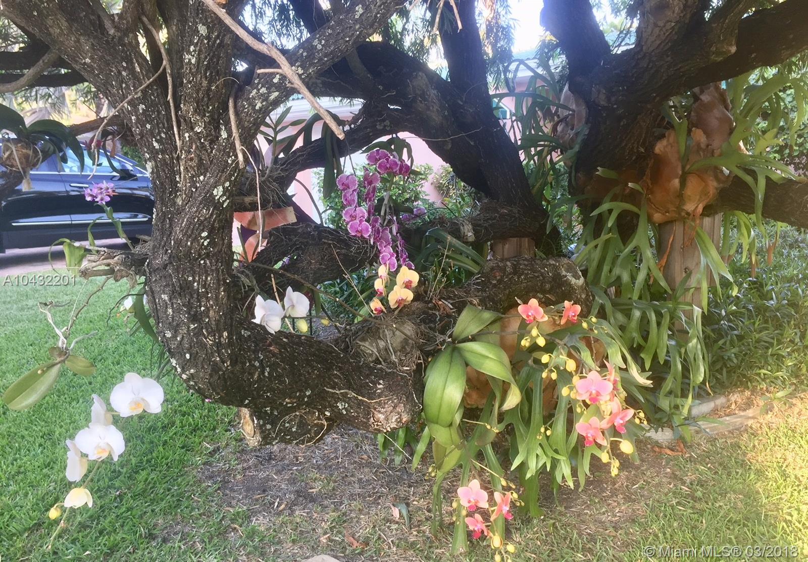 NORTH BAY ISLAND - Residential