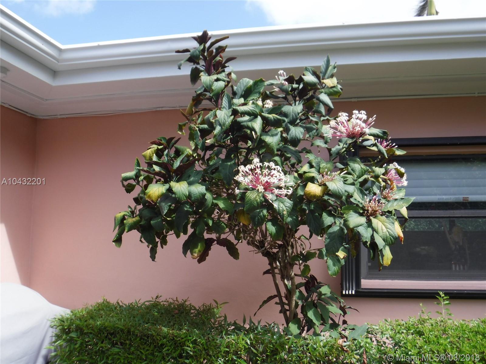 NORTH BAY ISLAND - Residential