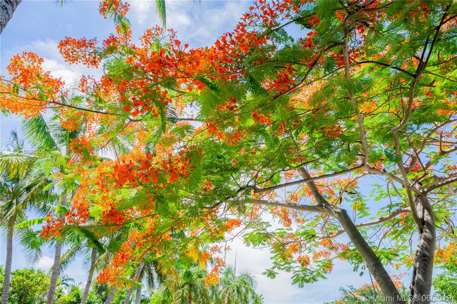 BEACH VIEW ADDN - Residential