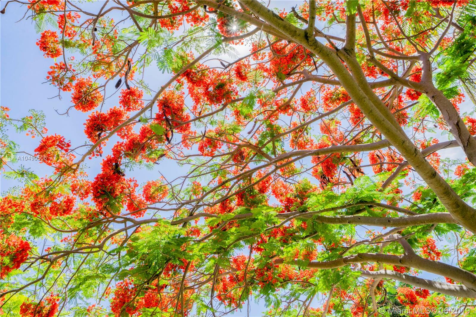 BEACH VIEW ADDN - Residential