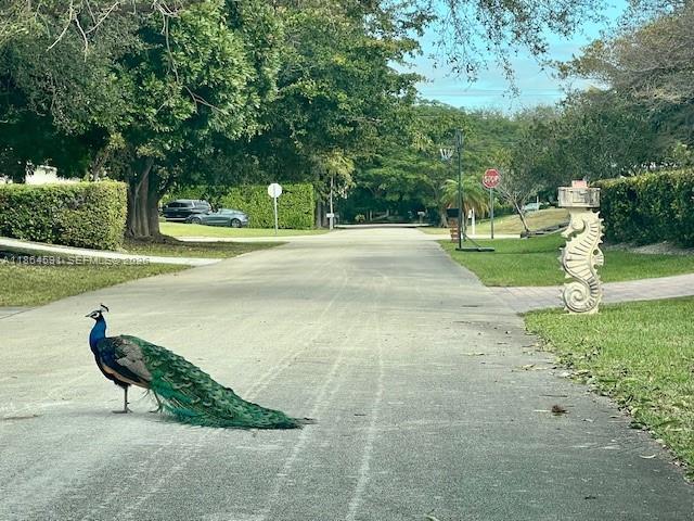 HERMAN HILLS - Residential