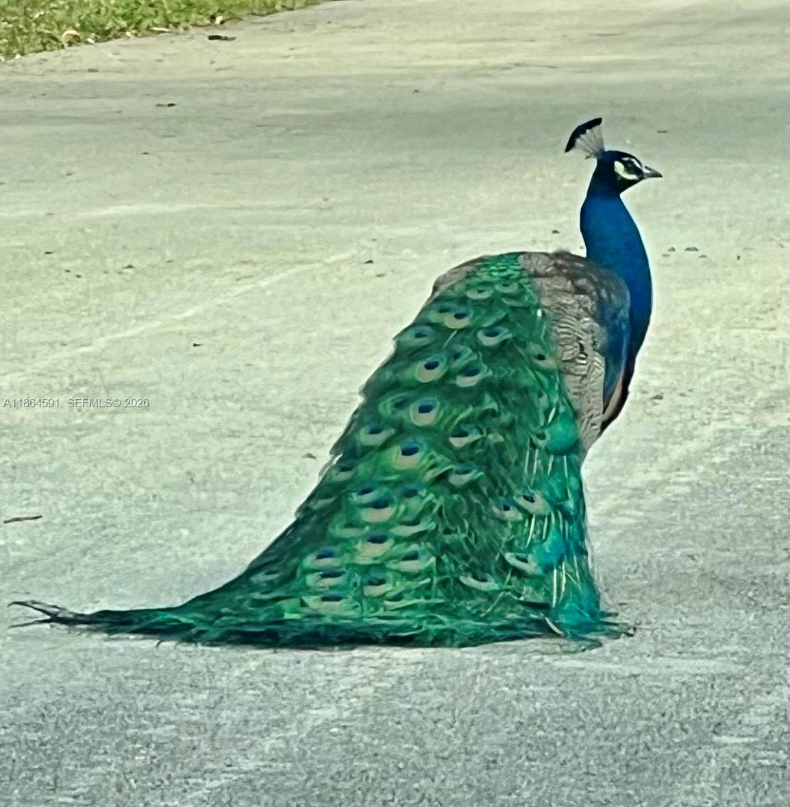 HERMAN HILLS - Residential