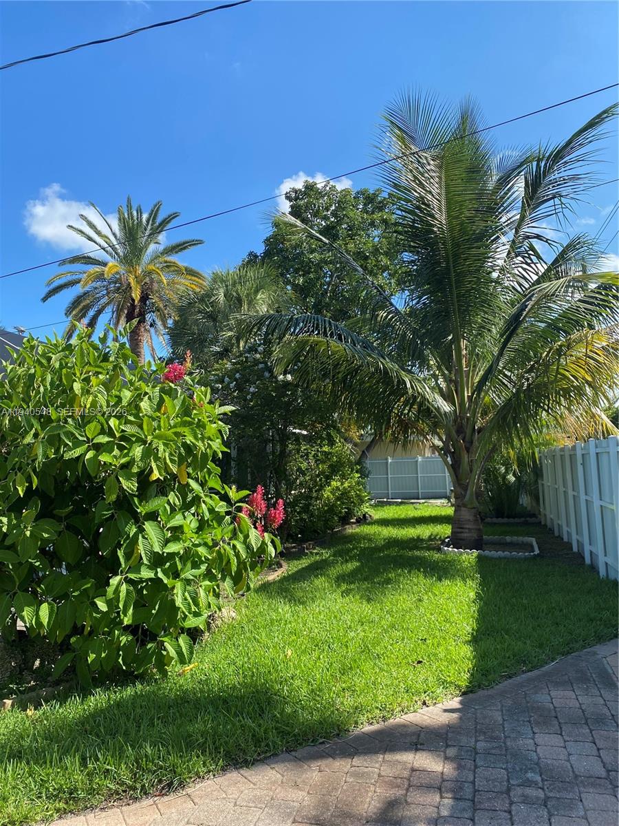 HOLLYWOOD HILLS - Residential