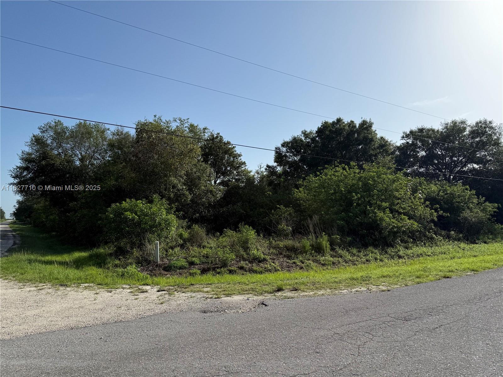 1.25 ACRES OR 2.50 ACRES AS WE HAVE THE LOT NEXT OF IT FOR SALE AS WELL!! THIS IS A CORNER LOT! MAIN PAVED ROAD, LOCATED ON BALD CYPRESS AVE ( THE MOST DESIRABLE AVENUE IN MONTURA RANCH ESTATES) PARTIALLY CLEARED SO YOU CAN DECIDE THE TREES YOU WANT IT!!! PRICE TO SELL FAST!! BEST OPTION IN THE MARKET! NO WETLAND! GREAT INVESTMENT OPPORTUNITY! YOU CAN BUILD YOUR DREAM HOUSE OR INSTALL YOUR MOBILE HOME ENDLESS POSSIBILITIES!!! YOU CAN HAVE YOUR WEEKEND GETAWAY FROM THE CITY, JUST 65 MILES FROM WESTON, 90 MILES FROM MIAMI, YOU CAN HAVE YOUR FARM ANIMALS AND ENJOY THE CAMP STYLE OF MONTURA RANCH ESTATE YOU CAN GO DIRECTLY TO THE PROPERTY AND CALL ME OR TEXT ME IF YOU NEED ANY EXTRA INFORMATION