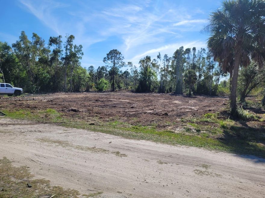 Great opportunity!!! Double size lot zoned RMF5, residential multifamily up to 5 units, in a perfect location for an income producer development or a service facility for the several business just crossing the street. Electric power in front of the property. You can start your project from the scratch in this near half acre lot with huge potential. Several financing options available. Please see attached report for full zooning uses as per Charlotte County ZONING CODE.