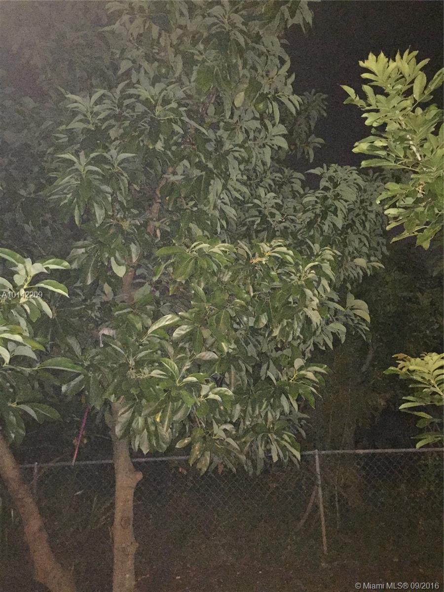 Palm Lane Homes In Mirama - Residential