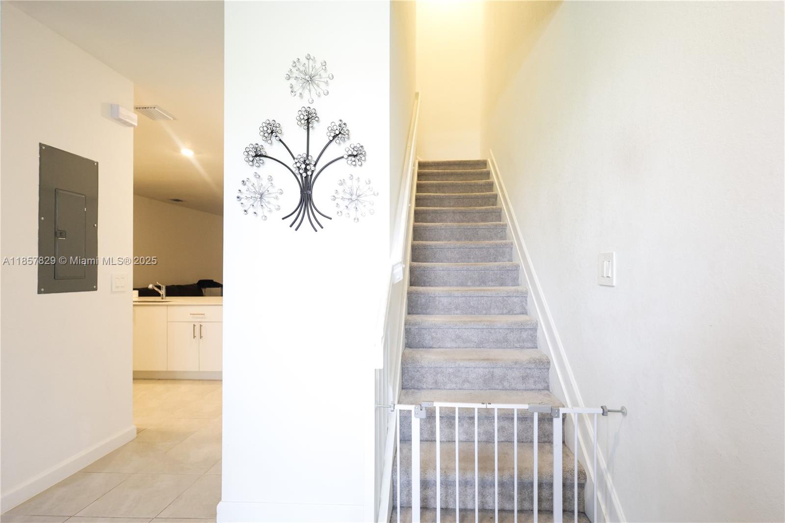 DOWN SOUTH - Residential