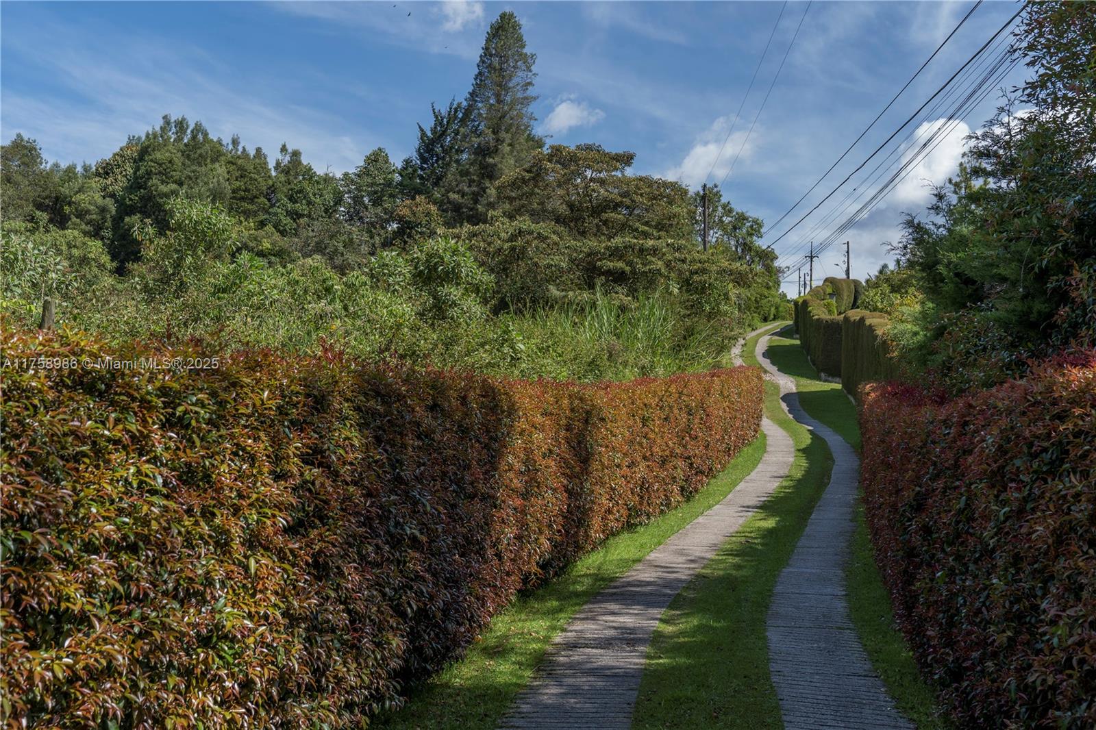 Lagos de Sajonia Llano Grande- Rionegro-Antioquia-Colombia