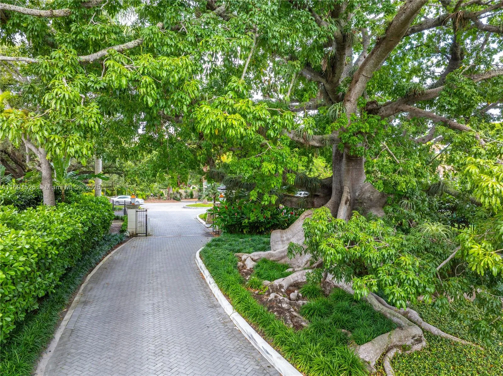 Miami, Florida 33133, United States, 4 Bedrooms Bedrooms, ,5 BathroomsBathrooms,Residential,Active,33610