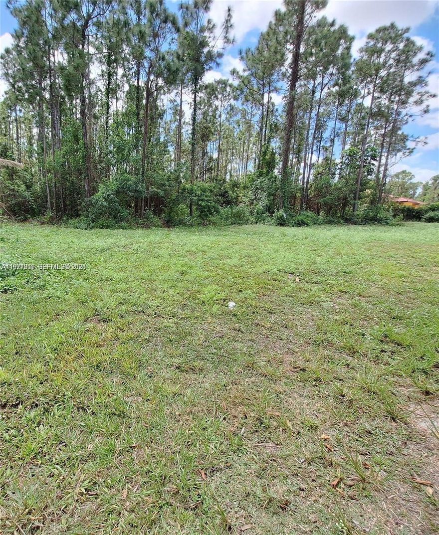 VACANT LAND TO BUILT YOUR DREAM HOME, OVER AN ACRE OF LAND READY TO BUILT, MUST SELL. CLOSE TO FLORIDA TURNPIKE, DOWNTOWN HOMESTEAD.

MUST SELL!!!