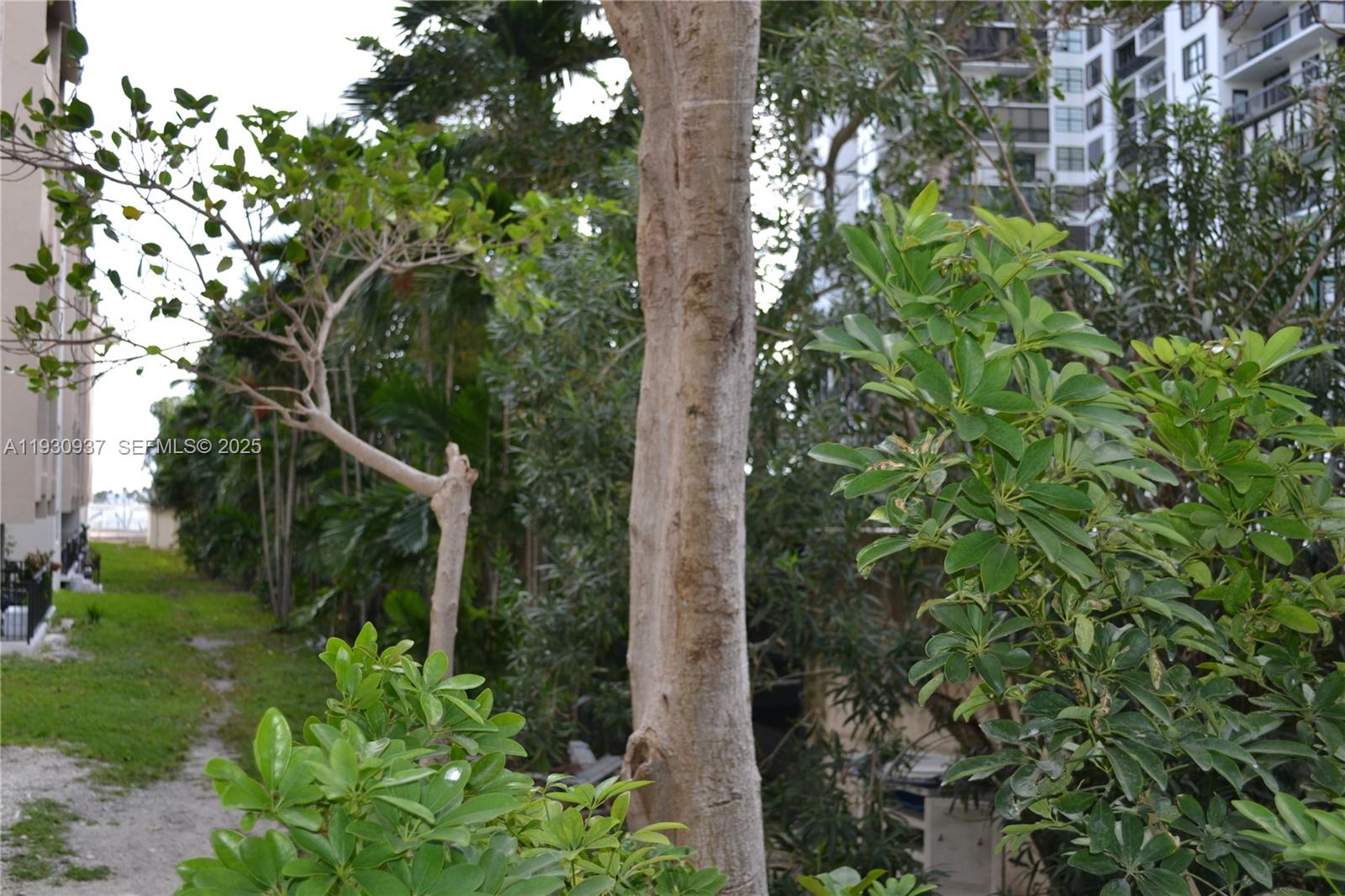 BRICKELL MAR CONDO - Residential Lease