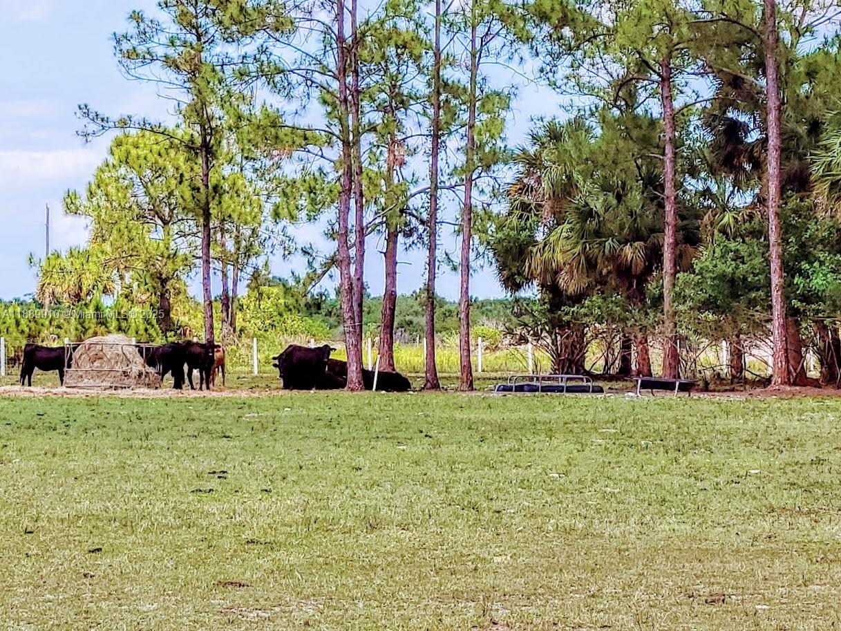 Pioneer Plantation - Residential