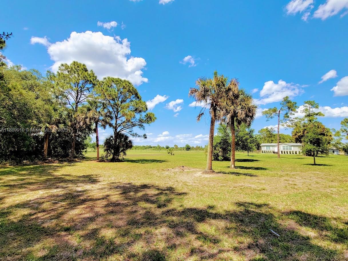 Pioneer Plantation - Residential