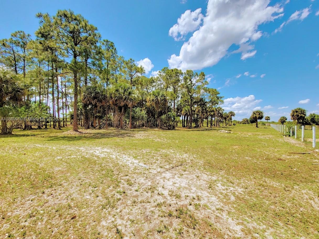 Pioneer Plantation - Residential