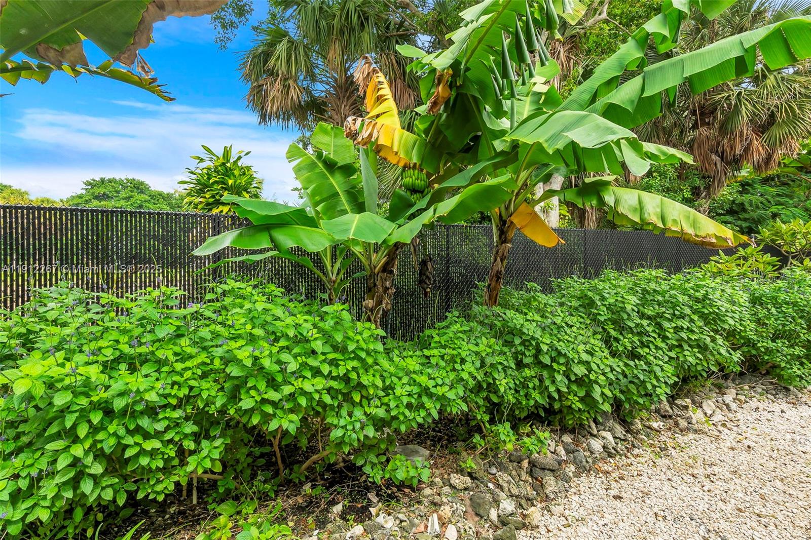 BOCA TOWERS CONDO PORTION - Residential