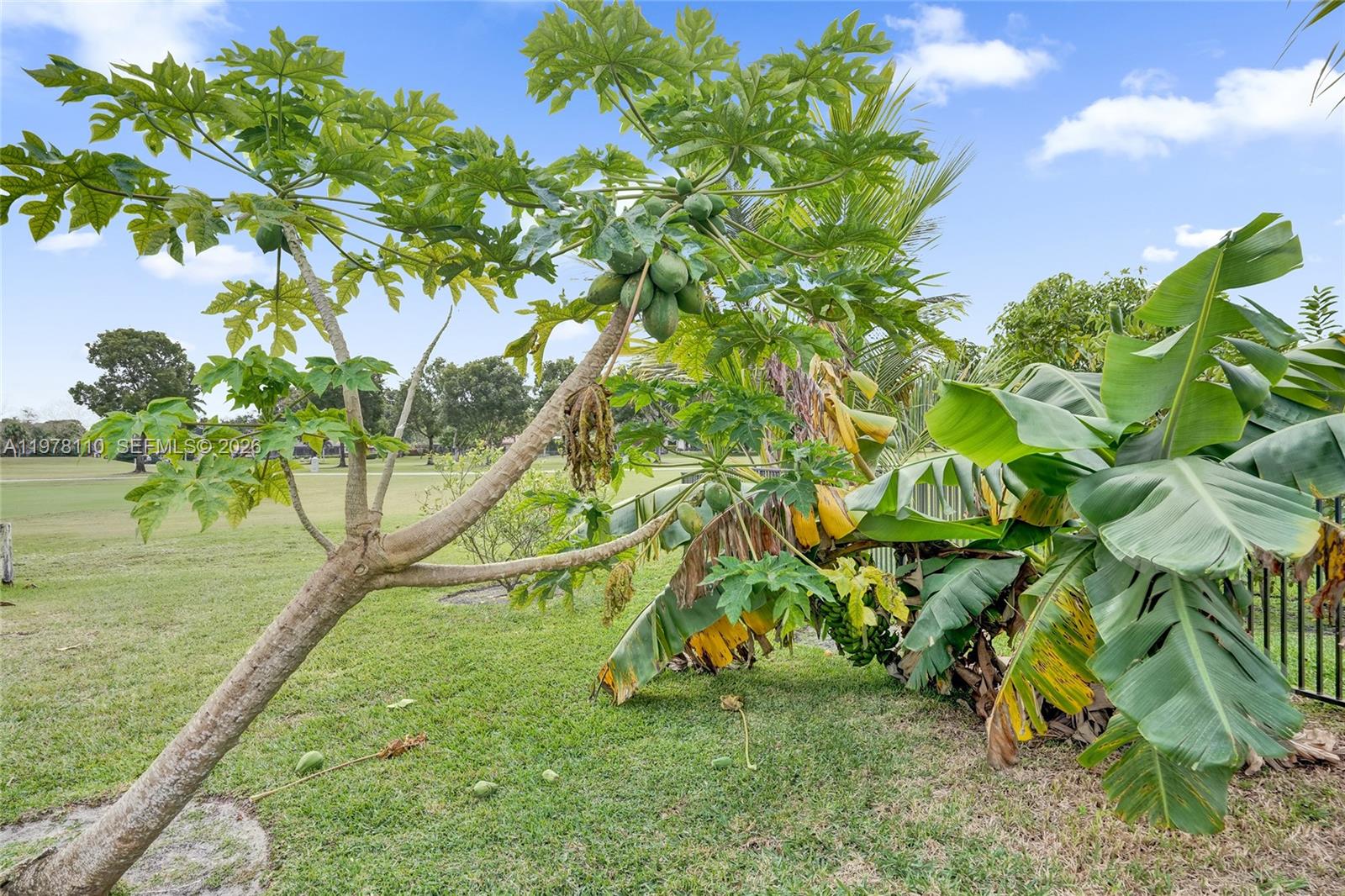 CORAL SPRINGS COUNTRY CLU - Residential