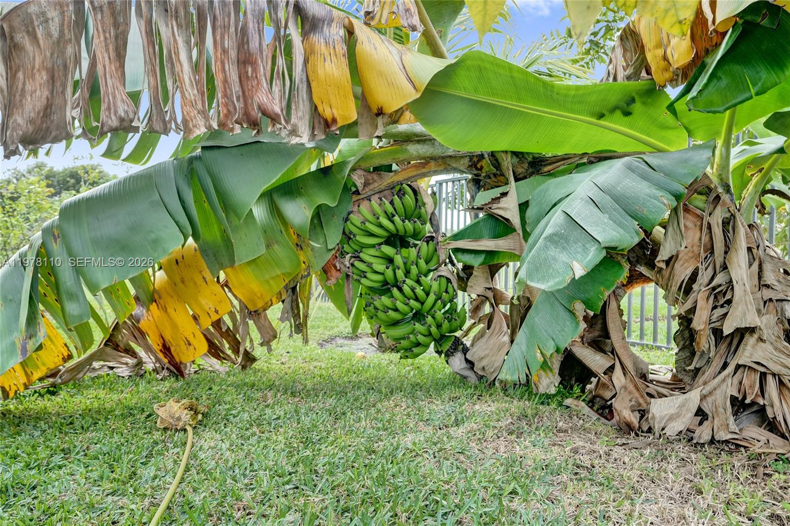 CORAL SPRINGS COUNTRY CLU - Residential